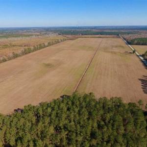 Photo of UNDER CONTRACT!!  100 Acres of Farmland, Timberland, and Hunting Land For Sale in Jones County NC!