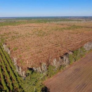 Photo of UNDER CONTRACT!!  100 Acres of Farmland, Timberland, and Hunting Land For Sale in Jones County NC!