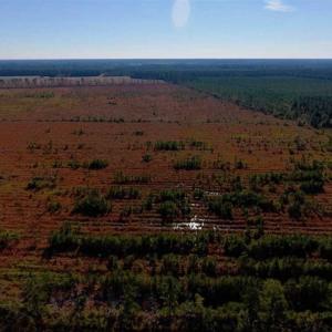 Photo of UNDER CONTRACT!!  100 Acres of Farmland, Timberland, and Hunting Land For Sale in Jones County NC!