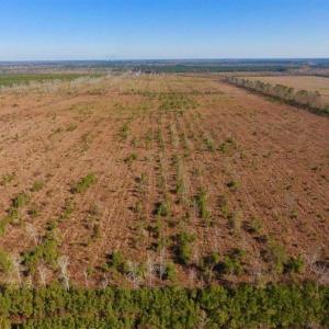 Photo of UNDER CONTRACT!!  100 Acres of Farmland, Timberland, and Hunting Land For Sale in Jones County NC!
