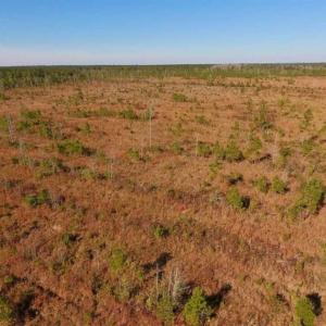 Photo of UNDER CONTRACT!!  100 Acres of Farmland, Timberland, and Hunting Land For Sale in Jones County NC!