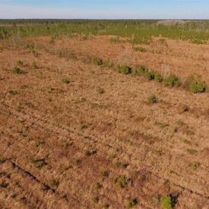 Photo of UNDER CONTRACT!!  100 Acres of Farmland, Timberland, and Hunting Land For Sale in Jones County NC!