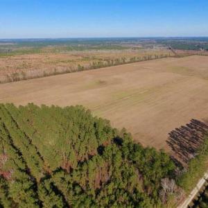Photo of UNDER CONTRACT!!  100 Acres of Farmland, Timberland, and Hunting Land For Sale in Jones County NC!