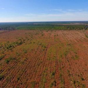 Photo of UNDER CONTRACT!!  100 Acres of Farmland, Timberland, and Hunting Land For Sale in Jones County NC!