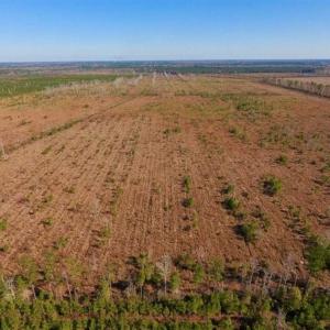 Photo of UNDER CONTRACT!!  100 Acres of Farmland, Timberland, and Hunting Land For Sale in Jones County NC!