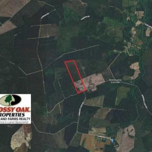 Photo of UNDER CONTRACT!!  100 Acres of Farmland, Timberland, and Hunting Land For Sale in Jones County NC!
