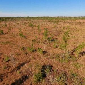 Photo of UNDER CONTRACT!!  100 Acres of Farmland, Timberland, and Hunting Land For Sale in Jones County NC!