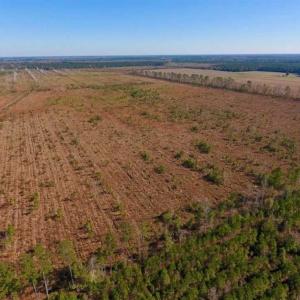 Photo of UNDER CONTRACT!!  100 Acres of Farmland, Timberland, and Hunting Land For Sale in Jones County NC!