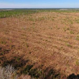 Photo of UNDER CONTRACT!!  100 Acres of Farmland, Timberland, and Hunting Land For Sale in Jones County NC!