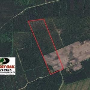 Photo of UNDER CONTRACT!!  100 Acres of Farmland, Timberland, and Hunting Land For Sale in Jones County NC!