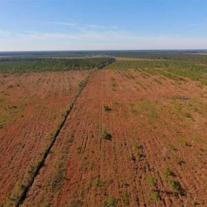 Photo of UNDER CONTRACT!!  100 Acres of Farmland, Timberland, and Hunting Land For Sale in Jones County NC!