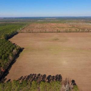 Photo of UNDER CONTRACT!!  100 Acres of Farmland, Timberland, and Hunting Land For Sale in Jones County NC!