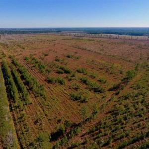 Photo of UNDER CONTRACT!!  100 Acres of Farmland, Timberland, and Hunting Land For Sale in Jones County NC!