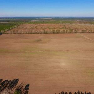 Photo of UNDER CONTRACT!!  100 Acres of Farmland, Timberland, and Hunting Land For Sale in Jones County NC!