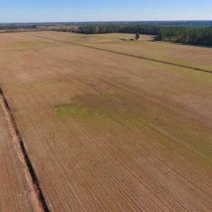 Photo of UNDER CONTRACT!!  100 Acres of Farmland, Timberland, and Hunting Land For Sale in Jones County NC!
