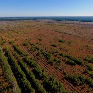 Photo of UNDER CONTRACT!!  100 Acres of Farmland, Timberland, and Hunting Land For Sale in Jones County NC!