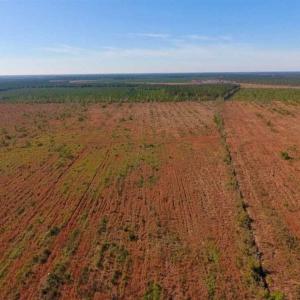 Photo of UNDER CONTRACT!!  100 Acres of Farmland, Timberland, and Hunting Land For Sale in Jones County NC!