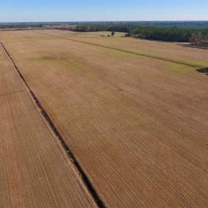 Photo of UNDER CONTRACT!!  100 Acres of Farmland, Timberland, and Hunting Land For Sale in Jones County NC!