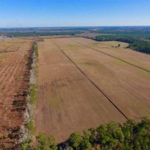Photo of UNDER CONTRACT!!  100 Acres of Farmland, Timberland, and Hunting Land For Sale in Jones County NC!