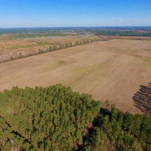 Photo of UNDER CONTRACT!!  100 Acres of Farmland, Timberland, and Hunting Land For Sale in Jones County NC!