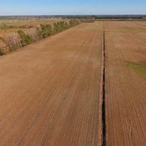 Photo of UNDER CONTRACT!!  100 Acres of Farmland, Timberland, and Hunting Land For Sale in Jones County NC!