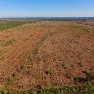 Photo of UNDER CONTRACT!!  100 Acres of Farmland, Timberland, and Hunting Land For Sale in Jones County NC!