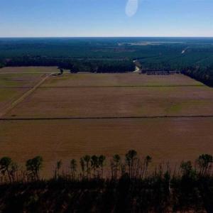 Photo of UNDER CONTRACT!!  100 Acres of Farmland, Timberland, and Hunting Land For Sale in Jones County NC!