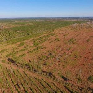 Photo of UNDER CONTRACT!!  100 Acres of Farmland, Timberland, and Hunting Land For Sale in Jones County NC!