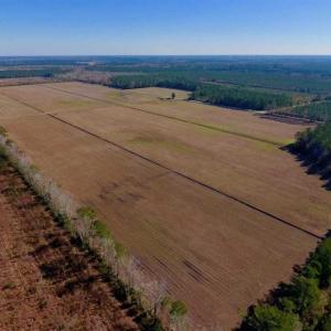 Photo of UNDER CONTRACT!!  100 Acres of Farmland, Timberland, and Hunting Land For Sale in Jones County NC!