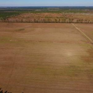 Photo of UNDER CONTRACT!!  106.3 Acres of Farmland, Timberland, and Hunting Land For Sale in Jones County NC!