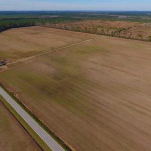 Photo of UNDER CONTRACT!!  106.3 Acres of Farmland, Timberland, and Hunting Land For Sale in Jones County NC!