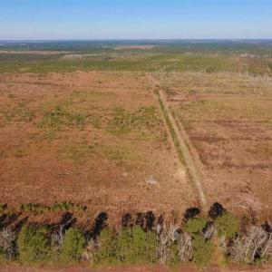 Photo of UNDER CONTRACT!!  106.3 Acres of Farmland, Timberland, and Hunting Land For Sale in Jones County NC!