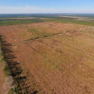Photo of UNDER CONTRACT!!  106.3 Acres of Farmland, Timberland, and Hunting Land For Sale in Jones County NC!