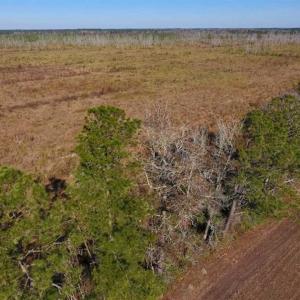 Photo of UNDER CONTRACT!!  106.3 Acres of Farmland, Timberland, and Hunting Land For Sale in Jones County NC!