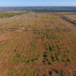 Photo of UNDER CONTRACT!!  106.3 Acres of Farmland, Timberland, and Hunting Land For Sale in Jones County NC!