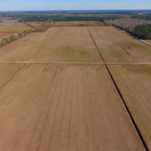 Photo of UNDER CONTRACT!!  106.3 Acres of Farmland, Timberland, and Hunting Land For Sale in Jones County NC!