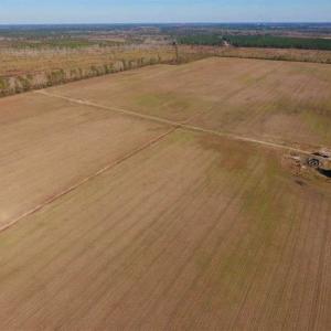 Photo of UNDER CONTRACT!!  106.3 Acres of Farmland, Timberland, and Hunting Land For Sale in Jones County NC!