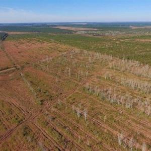 Photo of UNDER CONTRACT!!  106.3 Acres of Farmland, Timberland, and Hunting Land For Sale in Jones County NC!