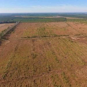 Photo of UNDER CONTRACT!!  106.3 Acres of Farmland, Timberland, and Hunting Land For Sale in Jones County NC!