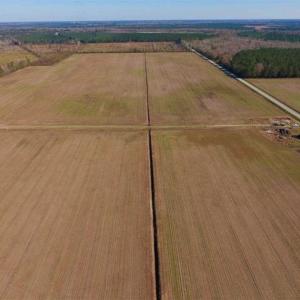 Photo of UNDER CONTRACT!!  106.3 Acres of Farmland, Timberland, and Hunting Land For Sale in Jones County NC!