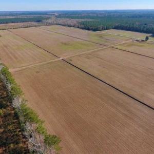 Photo of UNDER CONTRACT!!  106.3 Acres of Farmland, Timberland, and Hunting Land For Sale in Jones County NC!