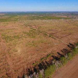 Photo of UNDER CONTRACT!!  106.3 Acres of Farmland, Timberland, and Hunting Land For Sale in Jones County NC!