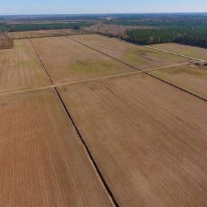 Photo of UNDER CONTRACT!!  106.3 Acres of Farmland, Timberland, and Hunting Land For Sale in Jones County NC!