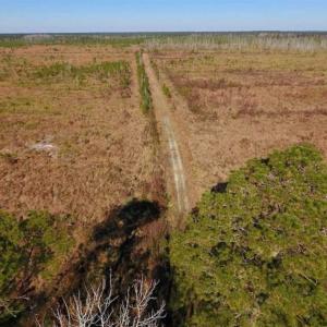 Photo of UNDER CONTRACT!!  106.3 Acres of Farmland, Timberland, and Hunting Land For Sale in Jones County NC!