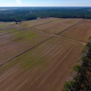Photo of UNDER CONTRACT!!  106.3 Acres of Farmland, Timberland, and Hunting Land For Sale in Jones County NC!