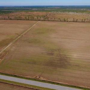Photo of UNDER CONTRACT!!  106.3 Acres of Farmland, Timberland, and Hunting Land For Sale in Jones County NC!