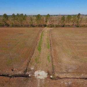 Photo of UNDER CONTRACT!!  106.3 Acres of Farmland, Timberland, and Hunting Land For Sale in Jones County NC!