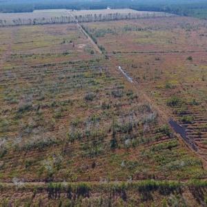 Photo of UNDER CONTRACT!!  106.3 Acres of Farmland, Timberland, and Hunting Land For Sale in Jones County NC!