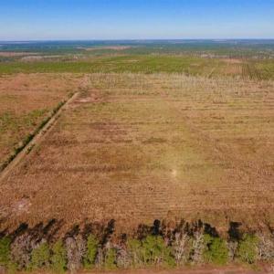 Photo of UNDER CONTRACT!!  106.3 Acres of Farmland, Timberland, and Hunting Land For Sale in Jones County NC!