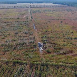 Photo of UNDER CONTRACT!!  106.3 Acres of Farmland, Timberland, and Hunting Land For Sale in Jones County NC!